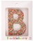 Freckled Letter B