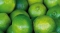 Lime Pastagrum