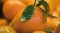 Mandarine Pastagrum