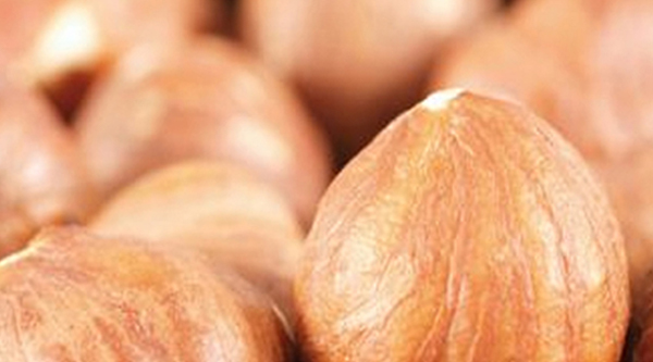 Hazelnut Concentrated