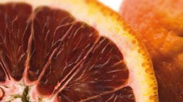 Blood-Orange Pastagrum